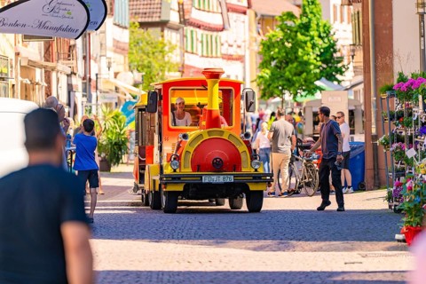 Tourist train travelling through busy city street in the sunshine, Calw station festival, Black