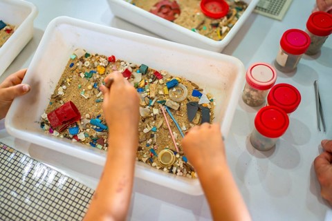 Students using tweezers collecting colorful microplastics from sand in a white plastic container
