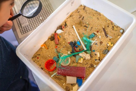 Elementary school student analyzing contaminated sand sample containing microplastics, raising