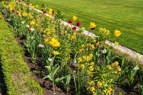 Flower bed with red and yellow tulips, castle park, Schloss Neuhaus, Paderborn, Westphalia, North