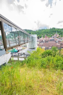 View of an urban landscape with modern bridge and surrounding nature, Zob extension with bridge