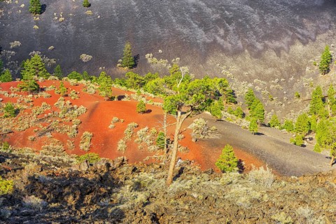 Sunset Crater Volcano National Monument, Flagstaff, Arizona, USA