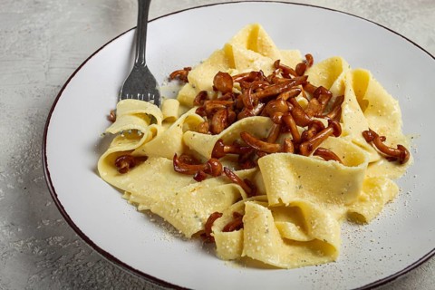 Pasta papardelle, in creamy garlic sauce, with mushrooms, traditional Italian cuisine, pasta