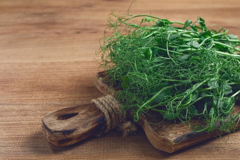 Green pea shoots with delicate tendrils are artfully placed on a textured wooden cutting board,