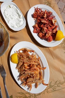 Freshly caught grilled prawns, grilled octopus and tzatziki, typical Greek food, Pelion peninsula