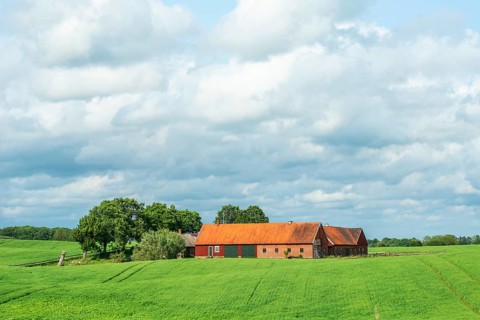 Landscape with red farm buildings by green field with crops and lots of clouds in Ystad