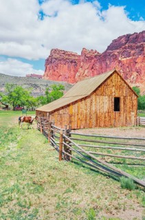 Gifford Farmhouse, Capitol Reef National Park, Utah, USA, North America