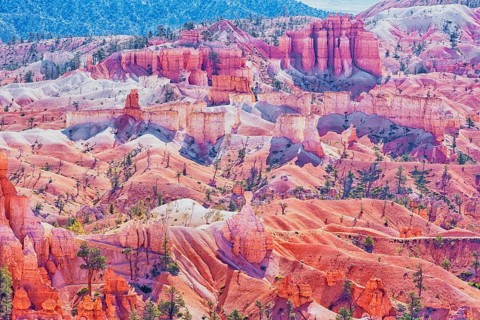 Bryce Canyon, Bryce Canyon National Park, Utah, USA
