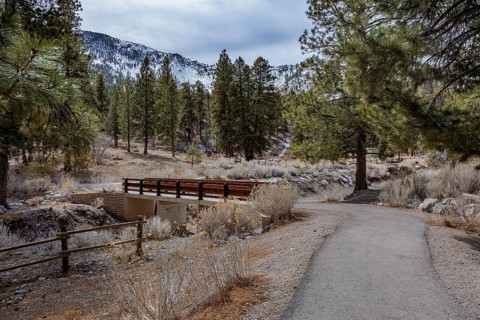 Foot bridge over Kyle Canyon Wash in the Spring Mountains National Recreation Area along the
