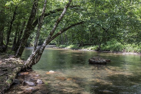 Oconaluftee River flows through the Oconaluftee Visitor Center at Great Smoky Mountains National