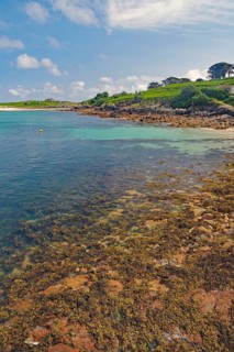 Natural coastline with rocks and trees, turquoise sea and vast sky, St Agnes, Isles of Scilly,