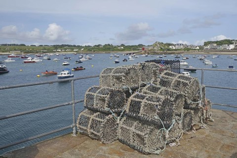 A harbour with stacked lobster pots, many boats on the water and a coastline in the background,