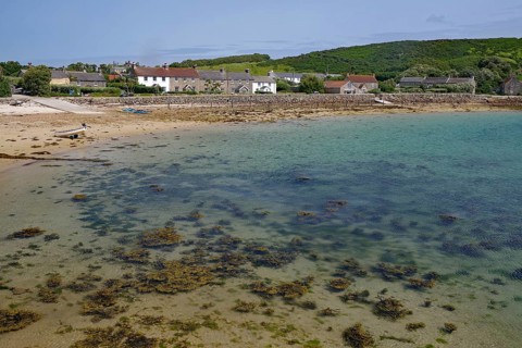 Beach with seaweed, calm sea and houses in the background under blue sky, Tresco, Isles of Scilly,