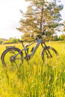 A bicycle stands on a blooming summer meadow, surrounded by trees and sun, e-bike excursion,