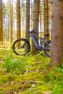 A bicycle stands in the quiet, moss-covered forest, surrounded by tall trees, e-bike excursion,