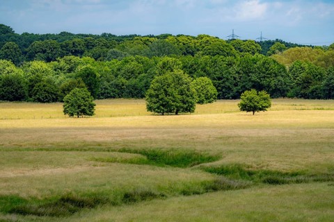 Wesel, Lippe Auen, North Rhine-Westphalia, Germany
