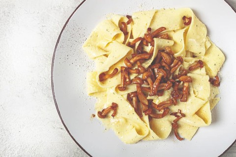 Pasta papardelle, in creamy garlic sauce, with mushrooms, traditional Italian cuisine, pasta