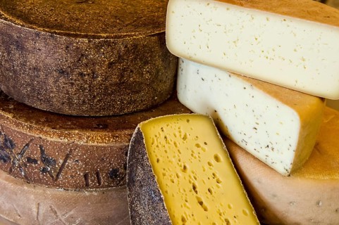 Cheese, hard cheese, organic cheese, Black Forest, Baden-Württemberg, Germany