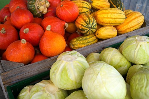 Various pumpkins, white cabbage, cabbage. Vegetable stand, market stand, market, Fellbach,