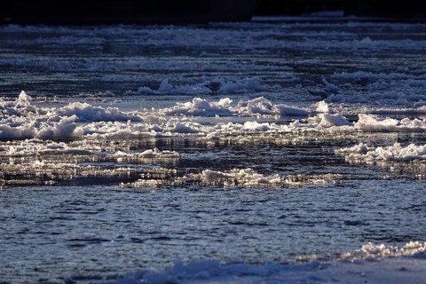 Winter, ice floes on the Elbe, Germany