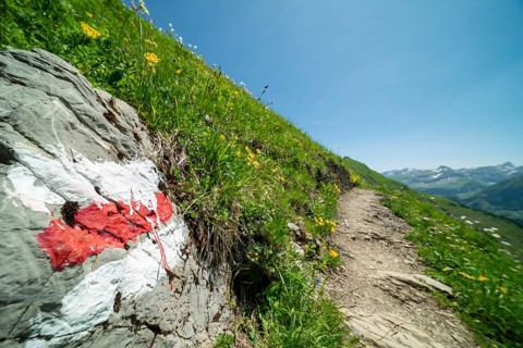 Trail marker on the Laufbacher-Eckweg, a demanding high-altitude hiking trail from Höfatsblick