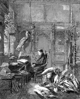Alfred Edmund Brehm, 1829-1884, was a German zoologist and writer, woodcut from 1864
