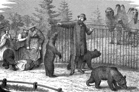 A walk in the zoo, woodcut from 1864