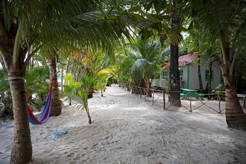 Sandy path between coconut trees, Playa Blanca, Lowlands, Izabal Department, Guatemala