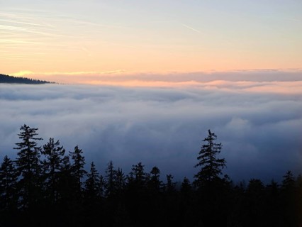 Sea of clouds over the forest at dusk, Fichtelgebirge