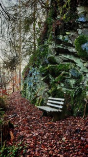Leafy, atmospheric forest trail with a bench next to rocks covered with moss, Thuringian Forest