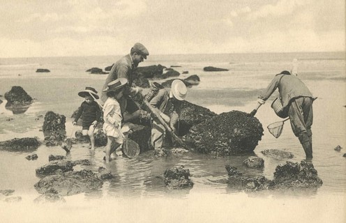 Family collecting mussels on the beach at low tide, delicacy, Atlantic, around 1910, Houlgate,
