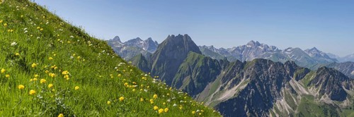 Mountain panorama with troll flowers (Trollius europaeus) from Laufbacher-Eckweg to Höfats, 2259m,