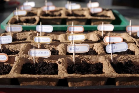 Growing pots, soil, gardening, vegetables, name tags, preferring, seeds