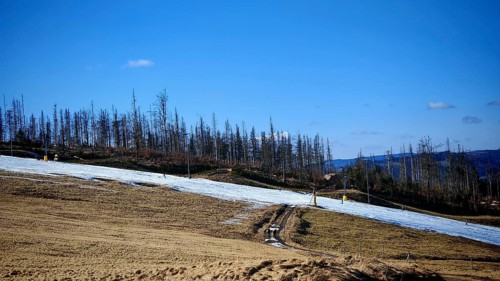 Winter landscape with ski slope made of artificial snow and bare trees under a blue sky, forest