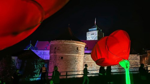 Red roses (pink) and people in front of an illuminated castle at night, Kronach shines, Franconian