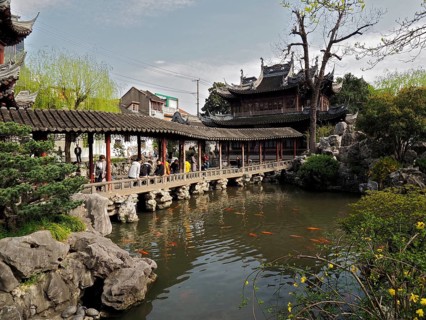 Traditional bridge over a pond with carp and historic buildings, Yuyuan Garden, Shanghai, China
