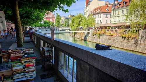 Quiet river promenade in the city centre with a bookstall and a pigeon (columbidae) surrounded by