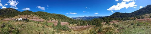 Wide panoramic view over a vast mountain landscape with blue sky and horses (equus), peaks of the