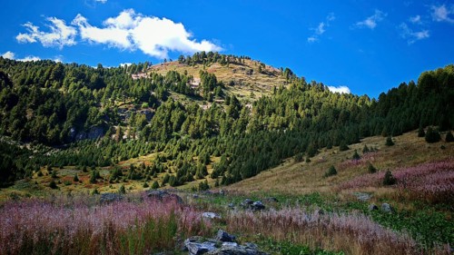 Green mountain landscape with rolling hills under a blue sky with white clouds, Montenegro
