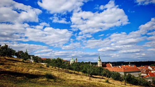 Hill with meadow in the foreground, municipal buildings and churches under clear sky, view over