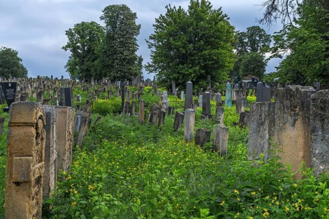 Jewish cemetery, since 1866, Czernowicz, Bukovina, Ukraine