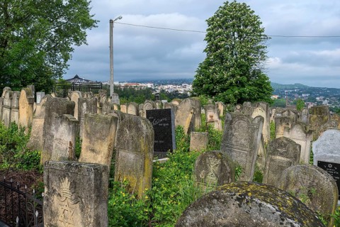 Tombstones with various Jewish symbols, Jewish cemetery, in the back the town of Czernowicz,