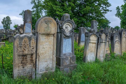 Tombstones with various Jewish symbols, Jewish cemetery, Czernowicz, Bukovina, Ukraine