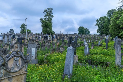 Jewish cemetery, Czernowicz, Bukovina, Ukraine