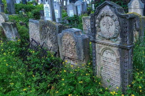 Tombstones with various Jewish symbols, Jewish cemetery, Czernowicz, Bukovina, Ukraine