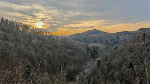 View over the forest into a valley with trees in the light of a sunset and a fascinating sky,