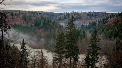 A foggy forest in the mountains at dusk with dense conifers, Frankenwald nature park Park