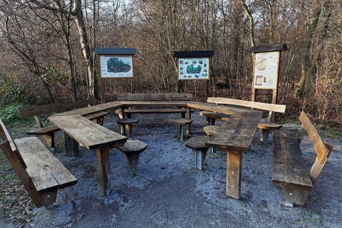 Rest area in the forest with wooden tables and benches, information boards about forestry, Kalkumer