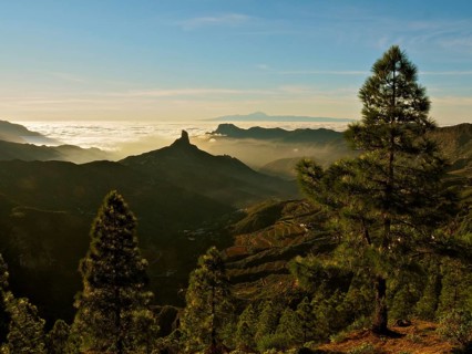 Panoramic view with pine trees on mountains under a glowing sunset, Roque Nublo, Gran Canaria,