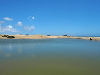 Tranquil lagoon lake with sand dunes under blue sky, El Oasis de Maspalomas, Gran Canaria, Canary